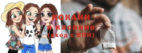 амф Верхний Тагил