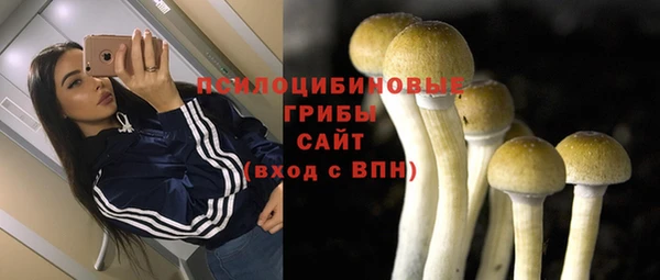 СК Протвино