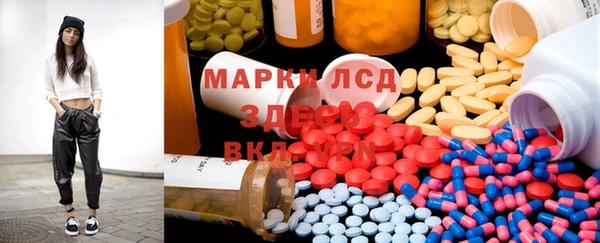 амф Верхний Тагил