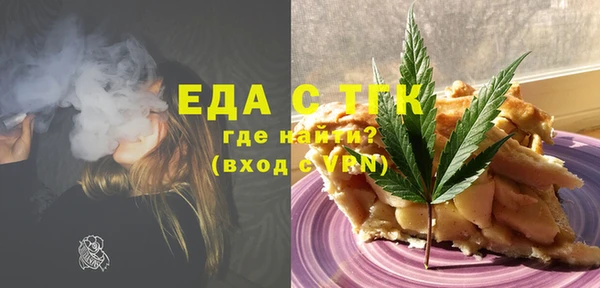 амф Верхний Тагил