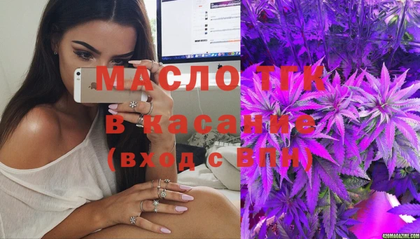амф Верхний Тагил