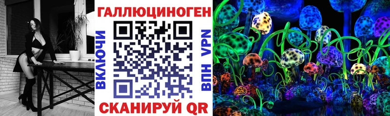 Псилоцибиновые грибы Psilocybe  Липки 